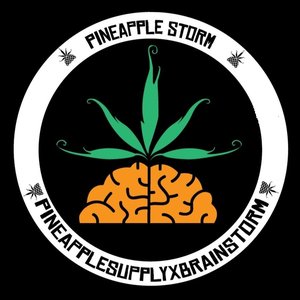 Pineapple StormTV